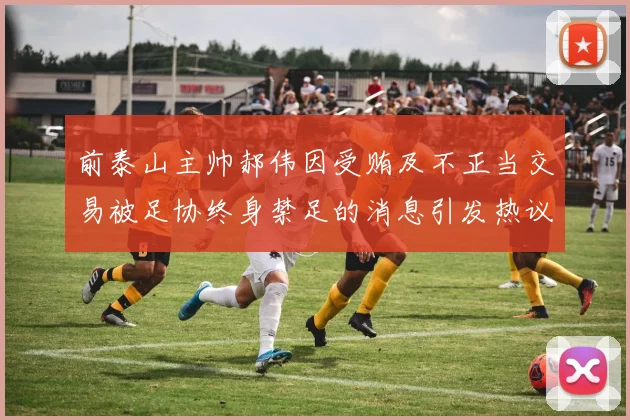 前泰山主帅郝伟因受贿及不正当交易被足协终身禁足的消息引发热议