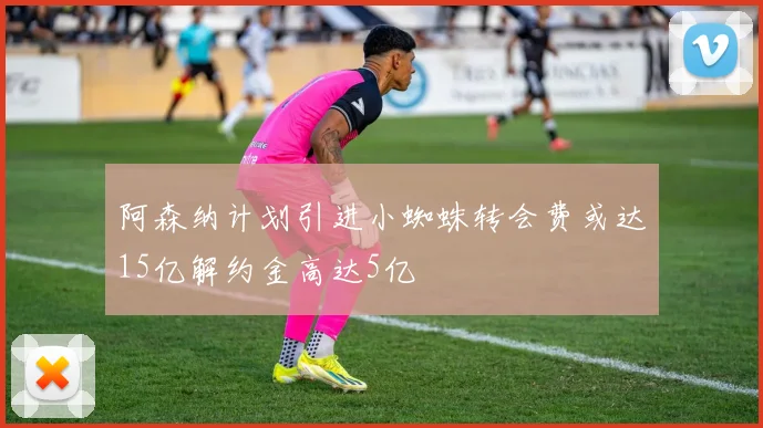 阿森纳计划引进小蜘蛛转会费或达15亿解约金高达5亿