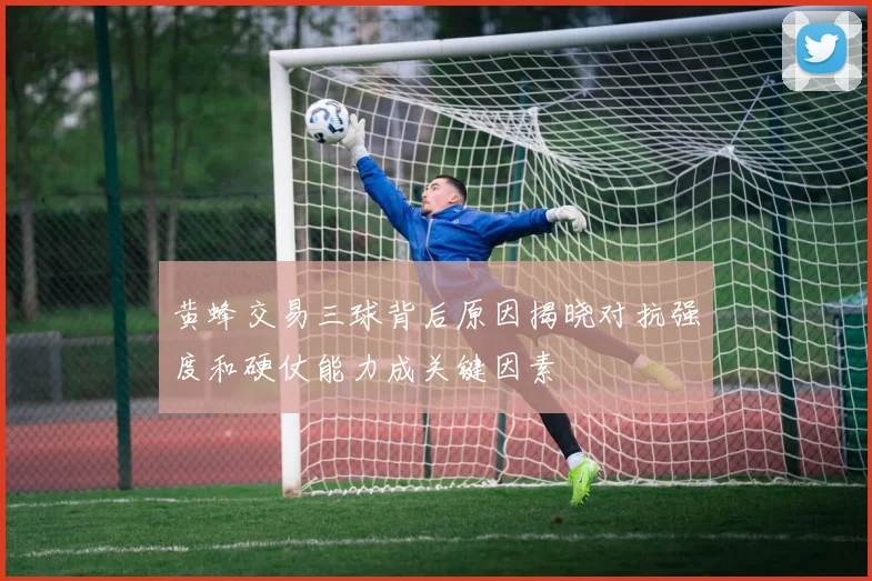 黄蜂交易三球背后原因揭晓对抗强度和硬仗能力成关键因素
