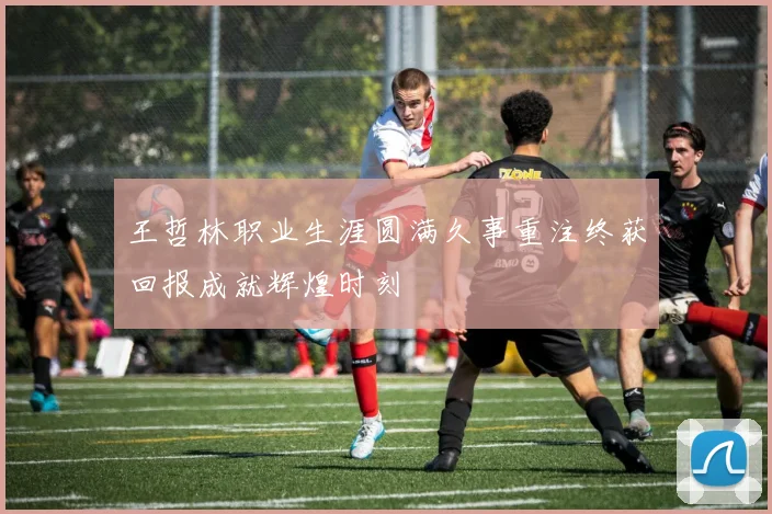 王哲林职业生涯圆满久事重注终获回报成就辉煌时刻