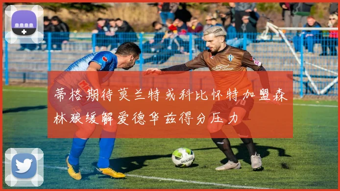 蒂格期待莫兰特或科比怀特加盟森林狼缓解爱德华兹得分压力
